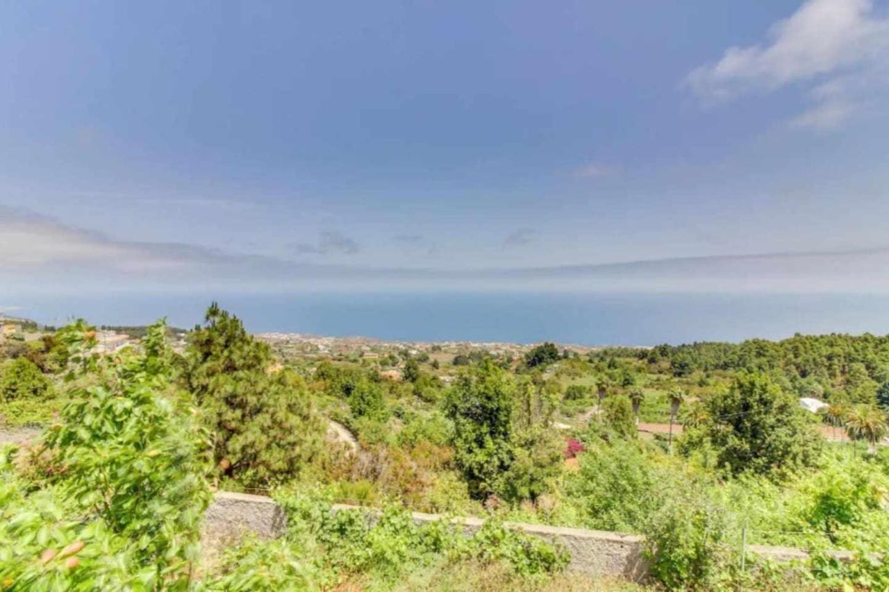 Finca Chona Y Francisco Санта-Крус-де-Тенерифе Экстерьер фото